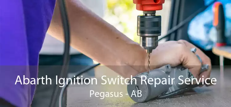 Abarth Ignition Switch Repair Service Pegasus - AB