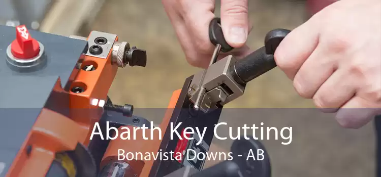 Abarth Key Cutting Bonavista Downs - AB