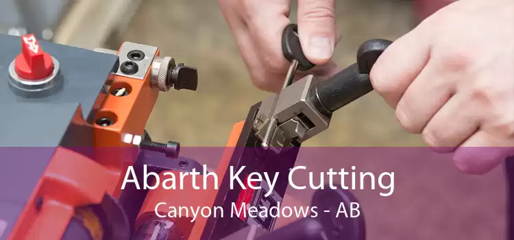 Abarth Key Cutting Canyon Meadows - AB
