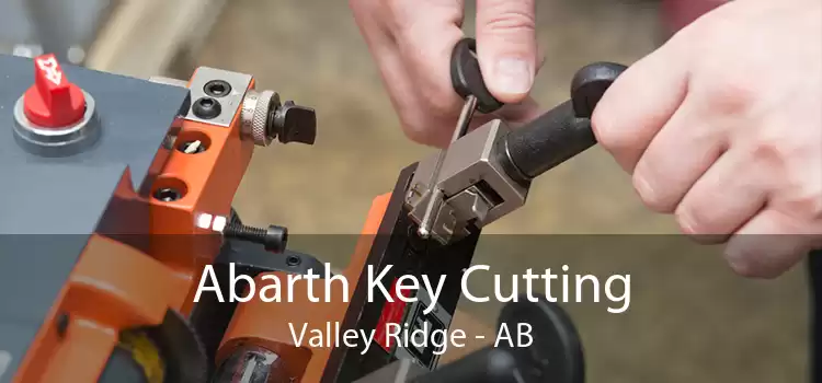 Abarth Key Cutting Valley Ridge - AB