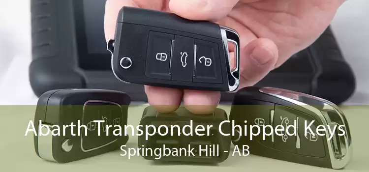 Abarth Transponder Chipped Keys Springbank Hill - AB