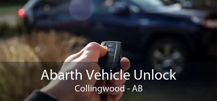 Abarth Vehicle Unlock Collingwood - AB