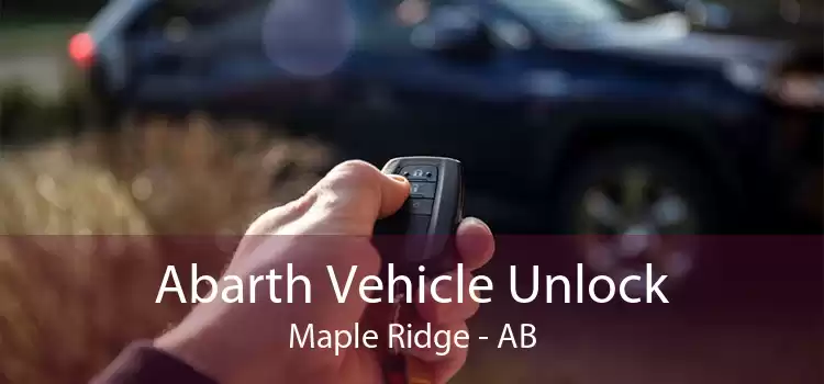 Abarth Vehicle Unlock Maple Ridge - AB