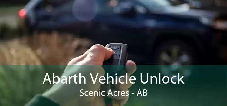 Abarth Vehicle Unlock Scenic Acres - AB