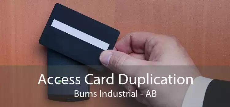 Access Card Duplication Burns Industrial - AB