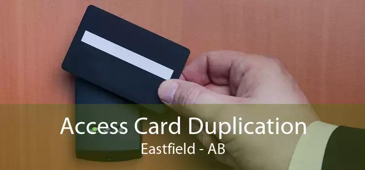 Access Card Duplication Eastfield - AB