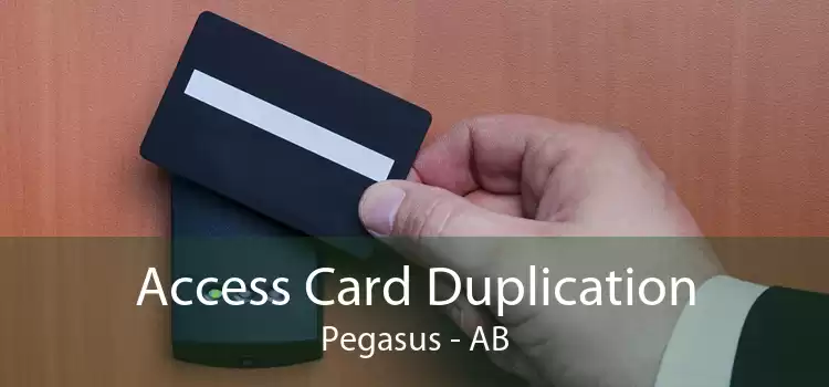 Access Card Duplication Pegasus - AB