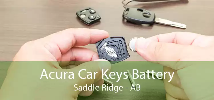 Acura Car Keys Battery Saddle Ridge - AB