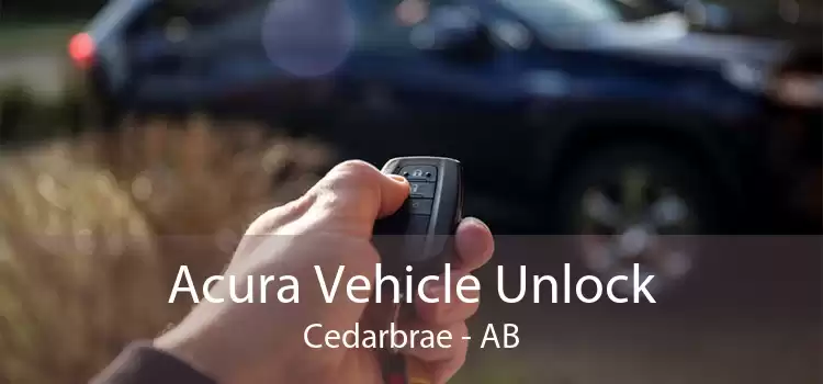 Acura Vehicle Unlock Cedarbrae - AB