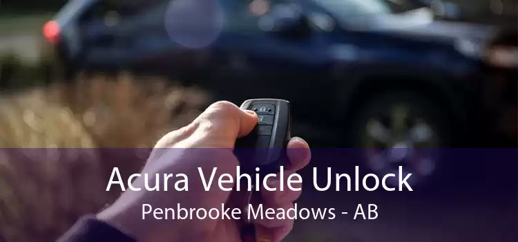 Acura Vehicle Unlock Penbrooke Meadows - AB