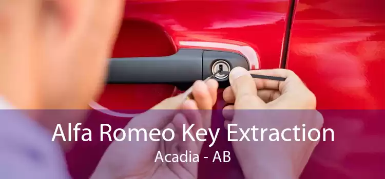 Alfa Romeo Key Extraction Acadia - AB