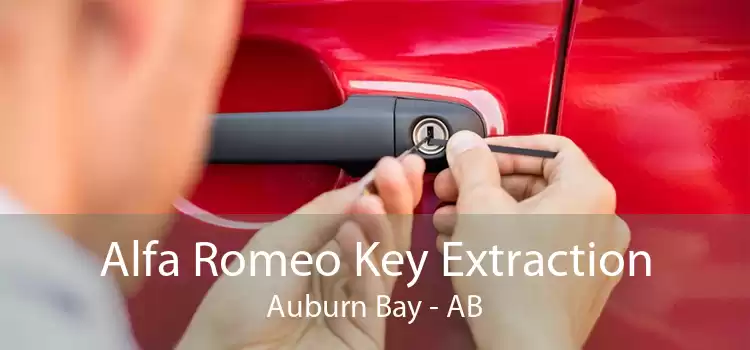 Alfa Romeo Key Extraction Auburn Bay - AB