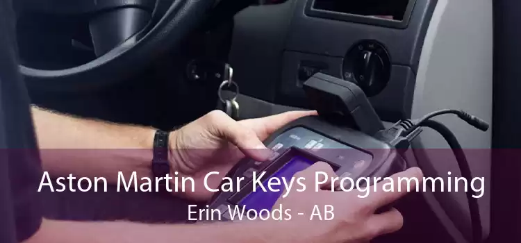 Aston Martin Car Keys Programming Erin Woods - AB
