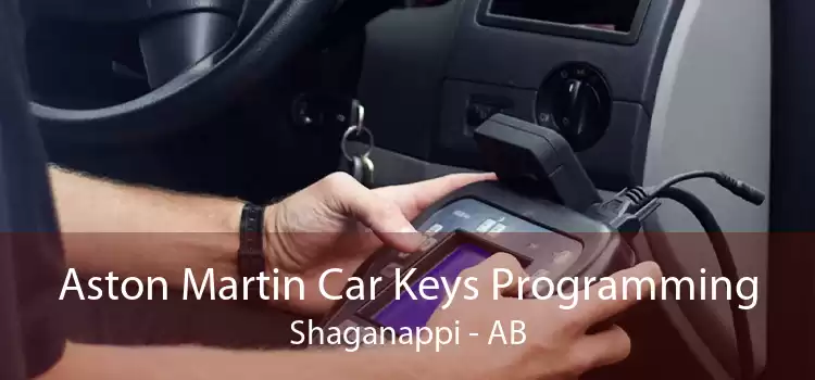 Aston Martin Car Keys Programming Shaganappi - AB