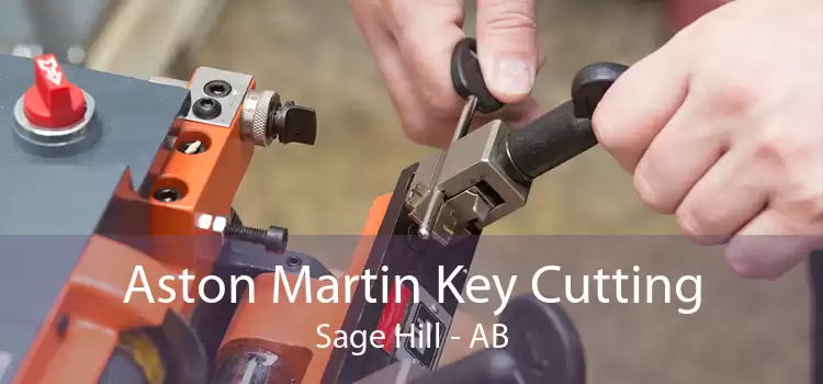 Aston Martin Key Cutting Sage Hill - AB