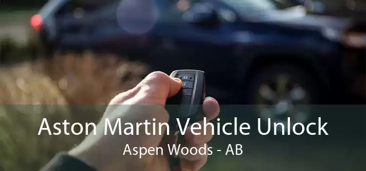 Aston Martin Vehicle Unlock Aspen Woods - AB