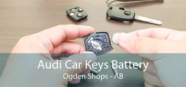 Audi Car Keys Battery Ogden Shops - AB