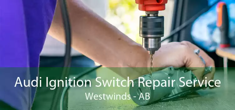 Audi Ignition Switch Repair Service Westwinds - AB