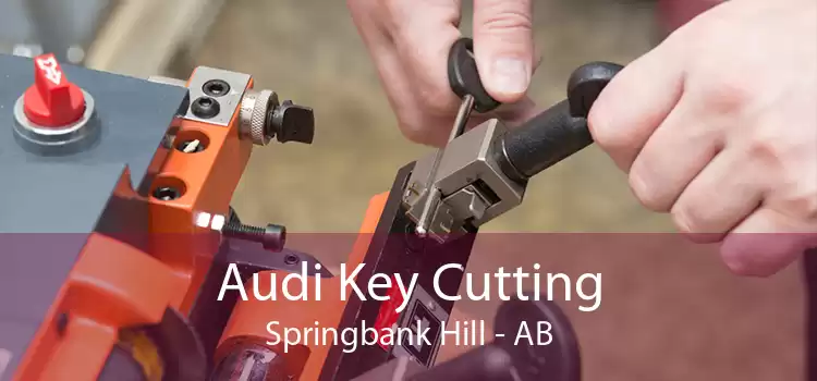 Audi Key Cutting Springbank Hill - AB