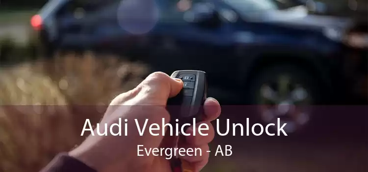 Audi Vehicle Unlock Evergreen - AB