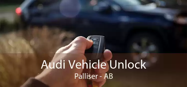 Audi Vehicle Unlock Palliser - AB