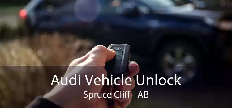 Audi Vehicle Unlock Spruce Cliff - AB