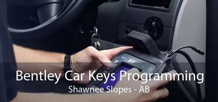 Bentley Car Keys Programming Shawnee Slopes - AB