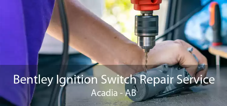 Bentley Ignition Switch Repair Service Acadia - AB