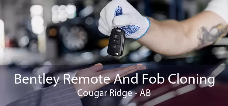 Bentley Remote And Fob Cloning Cougar Ridge - AB