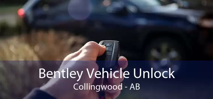 Bentley Vehicle Unlock Collingwood - AB