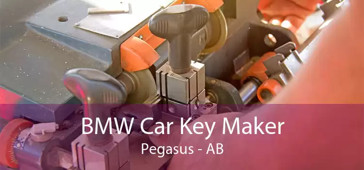 BMW Car Key Maker Pegasus - AB
