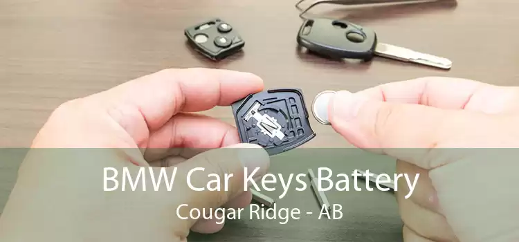 BMW Car Keys Battery Cougar Ridge - AB