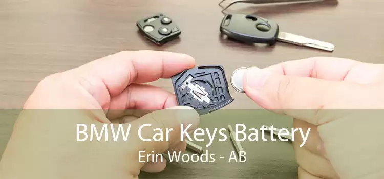BMW Car Keys Battery Erin Woods - AB