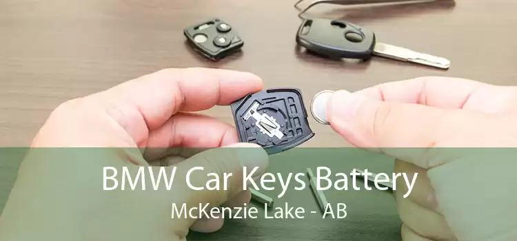 BMW Car Keys Battery McKenzie Lake - AB