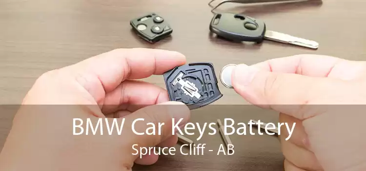 BMW Car Keys Battery Spruce Cliff - AB