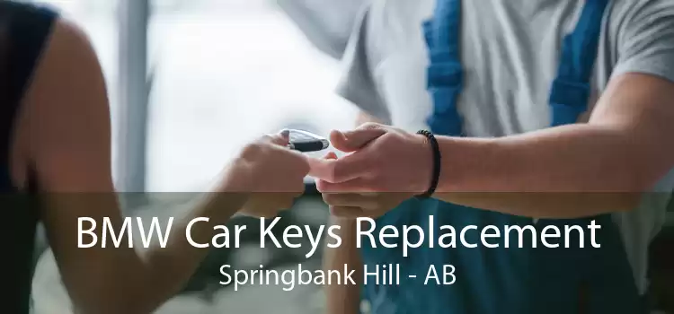 BMW Car Keys Replacement Springbank Hill - AB