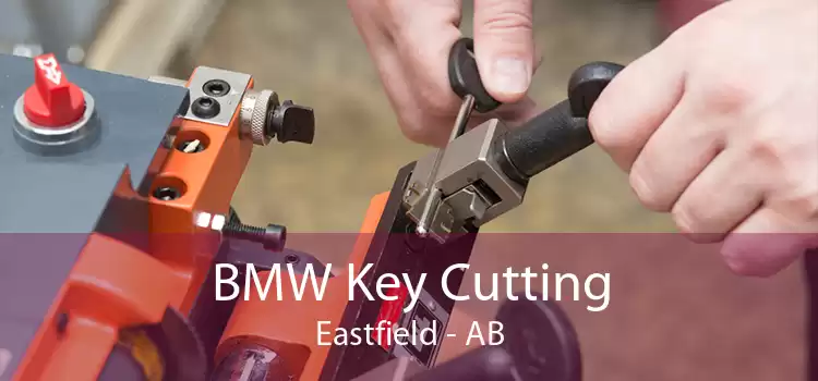 BMW Key Cutting Eastfield - AB