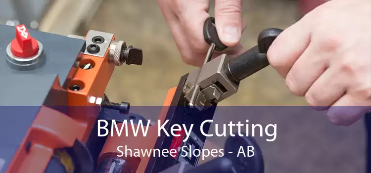BMW Key Cutting Shawnee Slopes - AB
