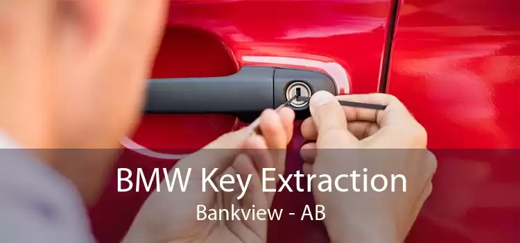 BMW Key Extraction Bankview - AB