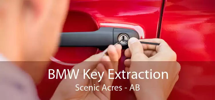 BMW Key Extraction Scenic Acres - AB