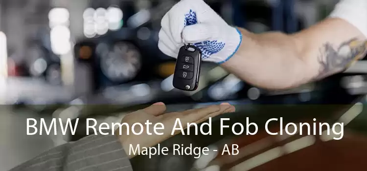 BMW Remote And Fob Cloning Maple Ridge - AB