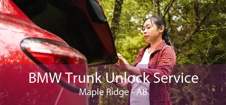 BMW Trunk Unlock Service Maple Ridge - AB