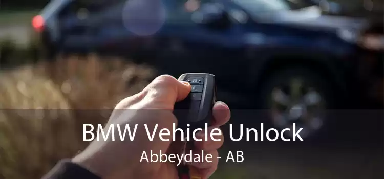 BMW Vehicle Unlock Abbeydale - AB