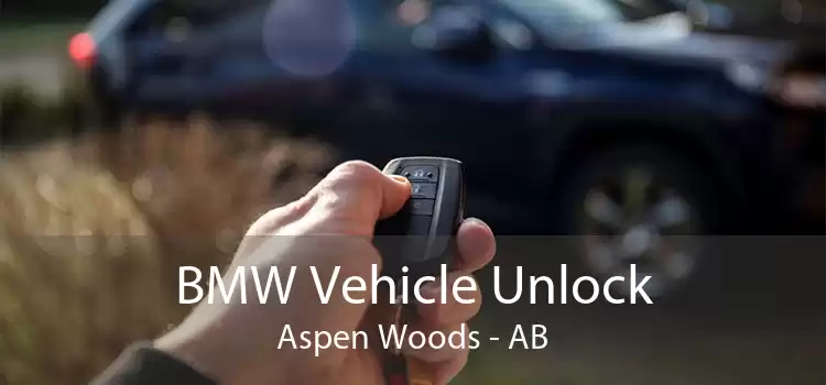 BMW Vehicle Unlock Aspen Woods - AB