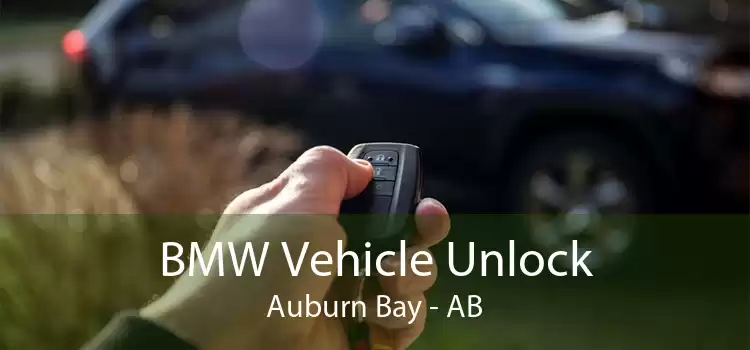 BMW Vehicle Unlock Auburn Bay - AB