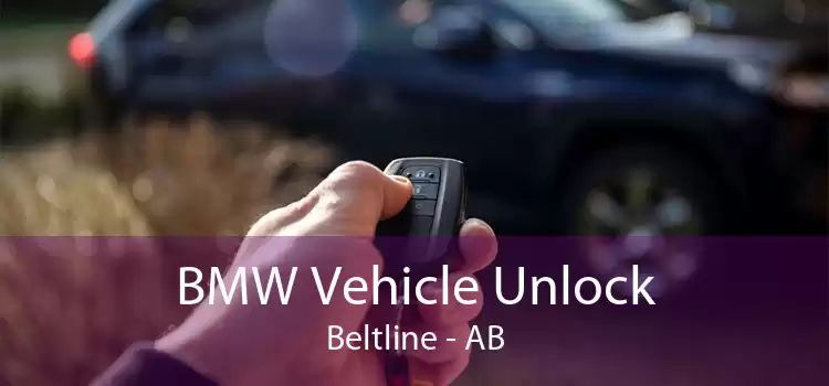 BMW Vehicle Unlock Beltline - AB
