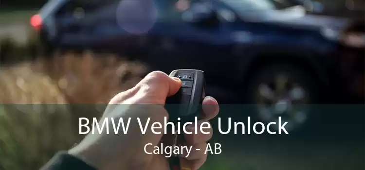 BMW Vehicle Unlock Calgary - AB