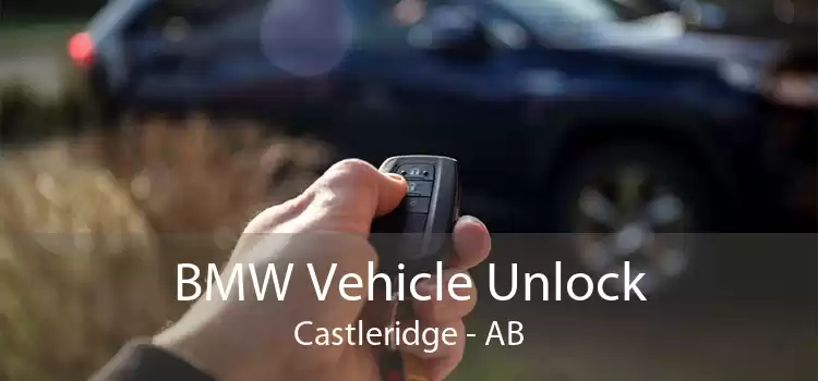BMW Vehicle Unlock Castleridge - AB
