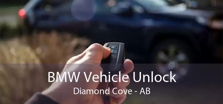 BMW Vehicle Unlock Diamond Cove - AB