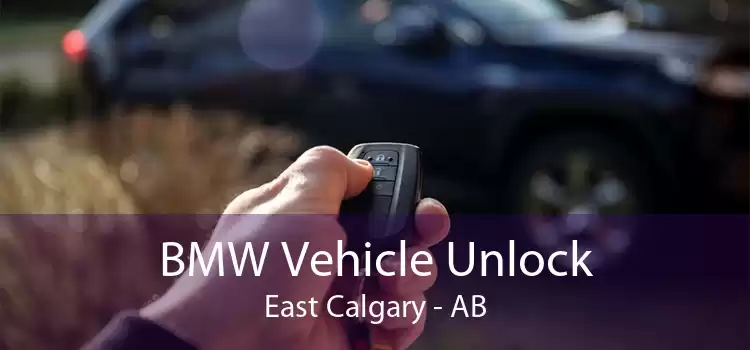 BMW Vehicle Unlock East Calgary - AB